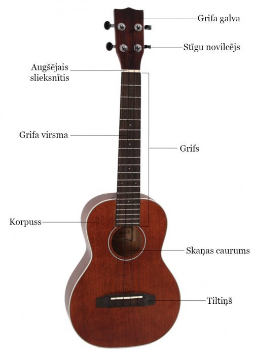 ukulele-anatomija