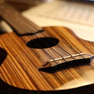 Kā izvēlēties ukuleli – galvenās iezīmes, tipoloģija un pielietošana